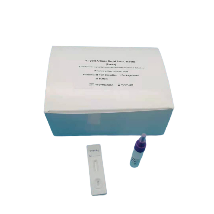 High Sensitive One Step Salmonella Rapid Test Kit Typhoid Antigen Rapid