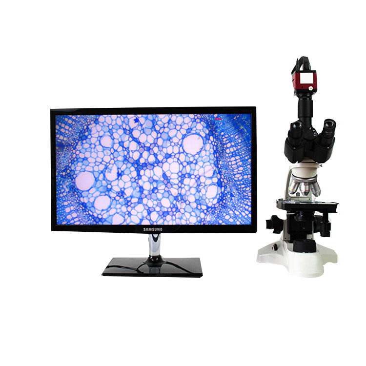 Binocularbacteriamicroscope