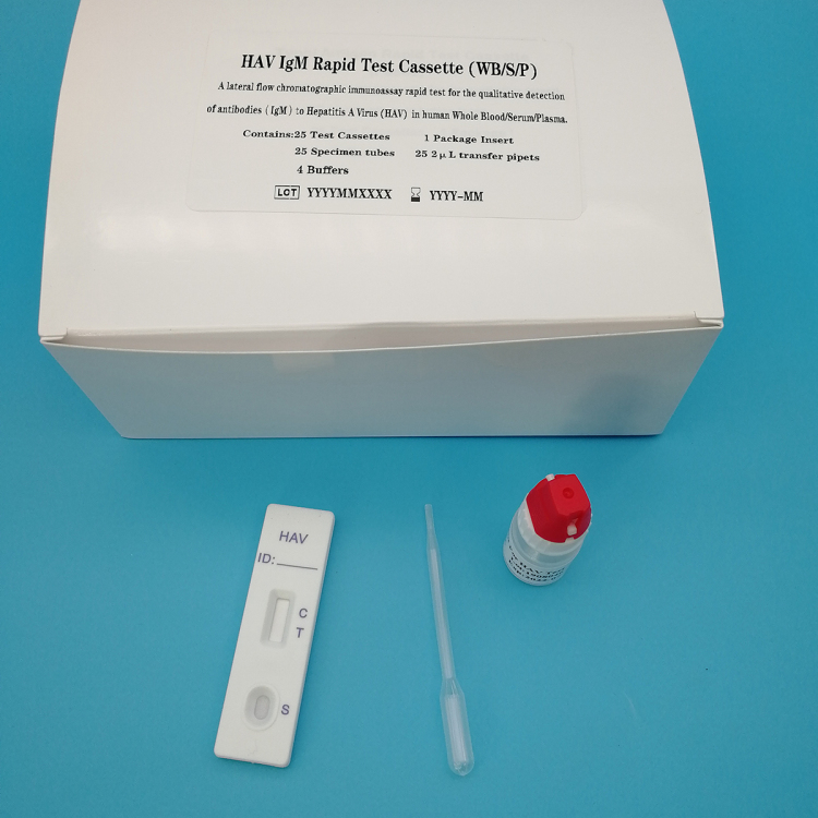 Medical One Step Hav hepatitis b test strip HAV Diagnostic rapid test ...
