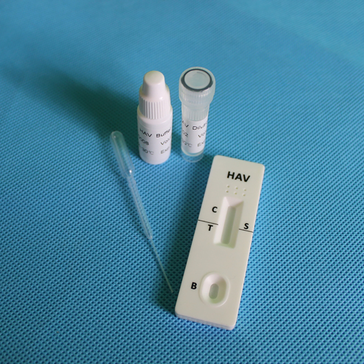 Hav R B Rao Medical One Step Hav hepatitis b test strip HAV Diagnostic rapid test ...