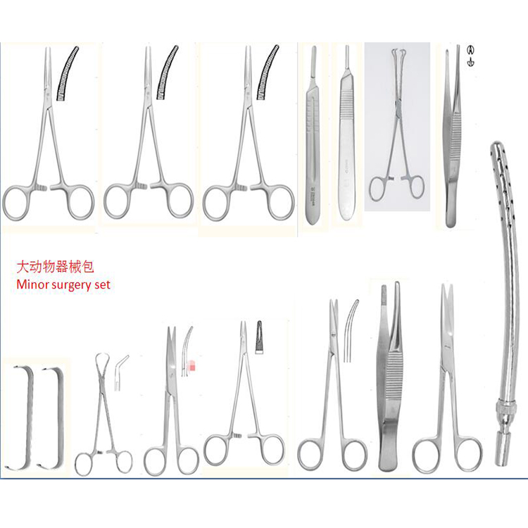 Delivery Surgery Instrument Set Veterinary Surgical Equipment MSLSV02